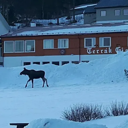 Gjestegard אורחן